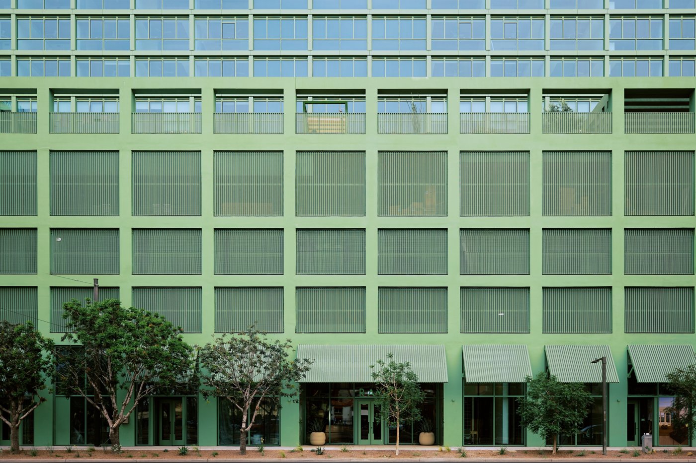 Ray grid