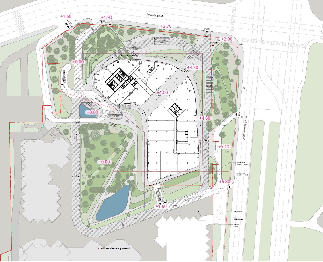 The podium takes the space the trees allow. With 250 trees kept and six metres of fall between the road and the residential ground, Gatto said the site was organised to preserve the natural slope rather than terrace over it.