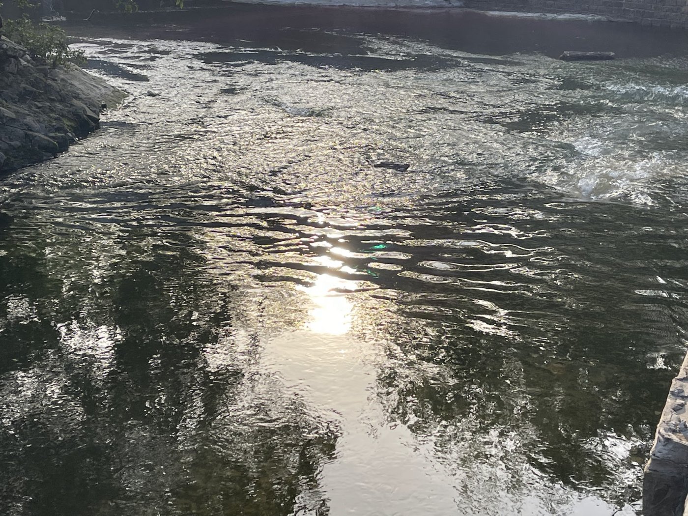 Turtle Creek. Bennett said the gleam on the water became an influence on the skin of the building.