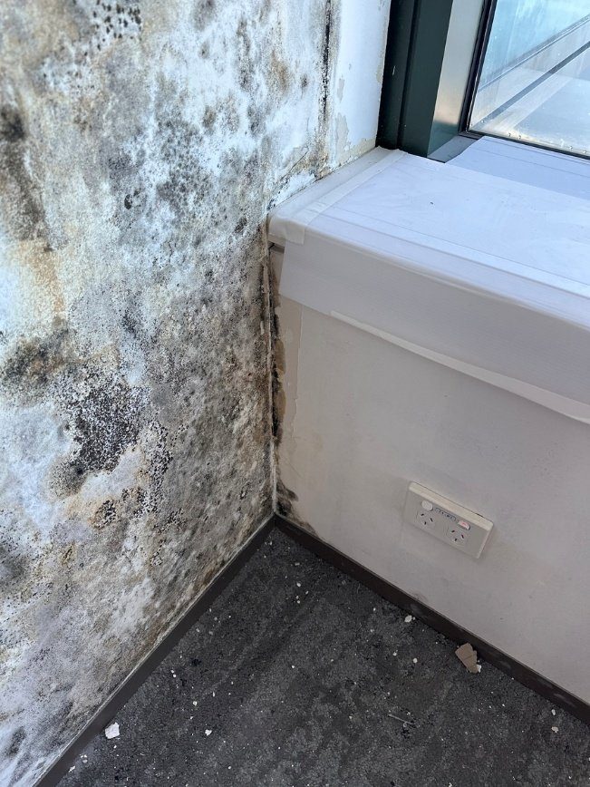 Condensation and mould at a window