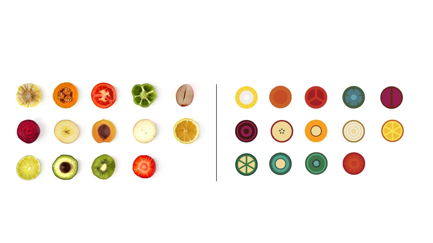 Grid of colourful circular icons derived from photographed fruit and vegetables