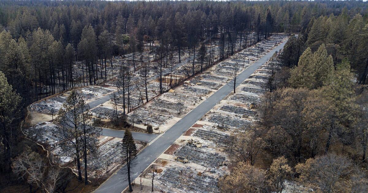 It came in through embers. The fire did not arrive through the forest. Embers lit the community, and the community then singed the trees along its own edges.