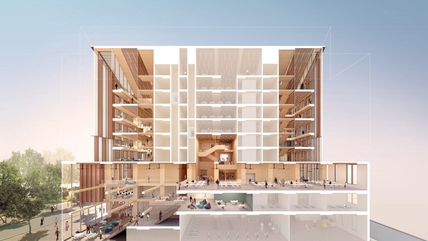 Breathing rooms. Double-height study spaces at the edges of the building are also the entry point to the stack.