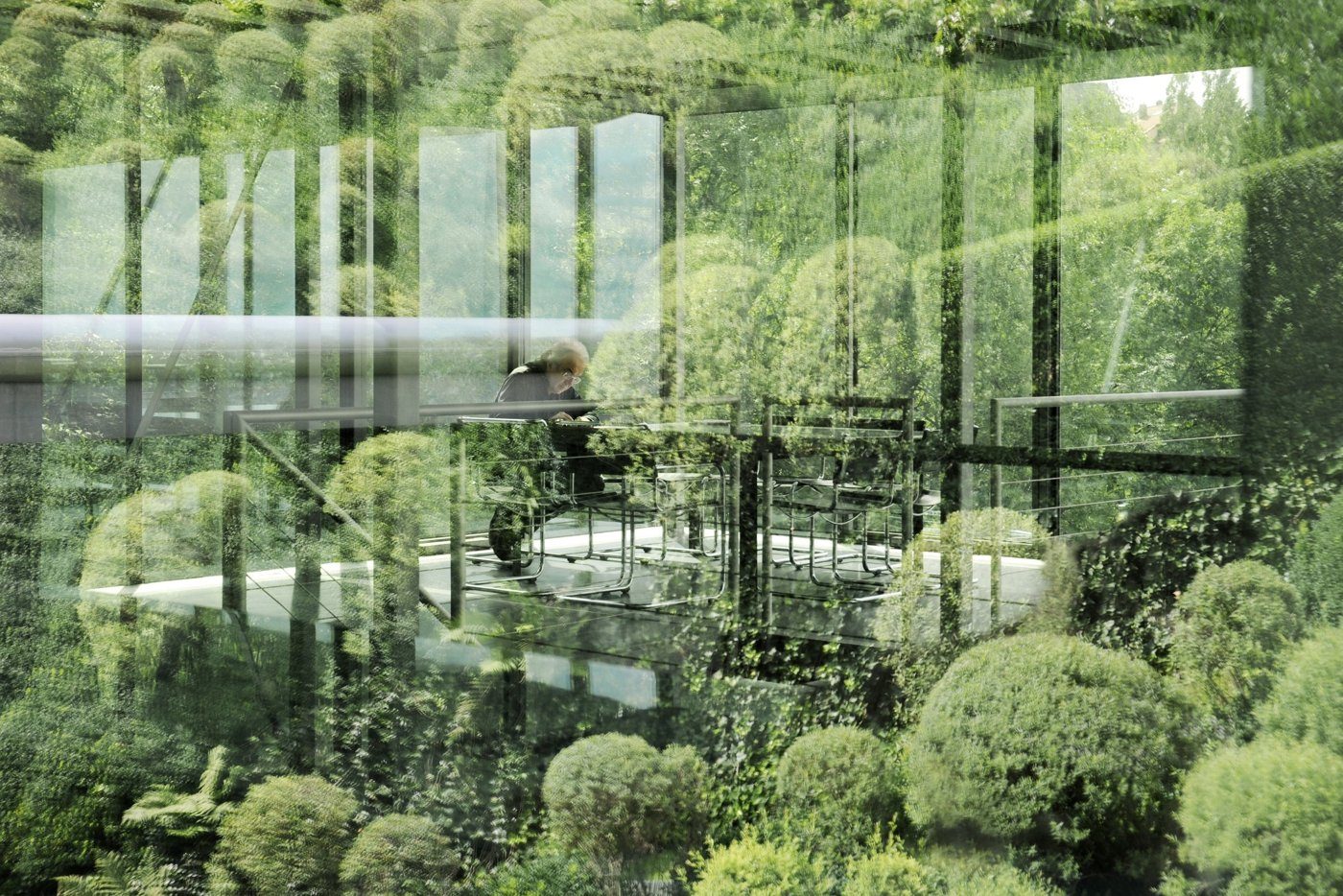 Planted double-skin façade