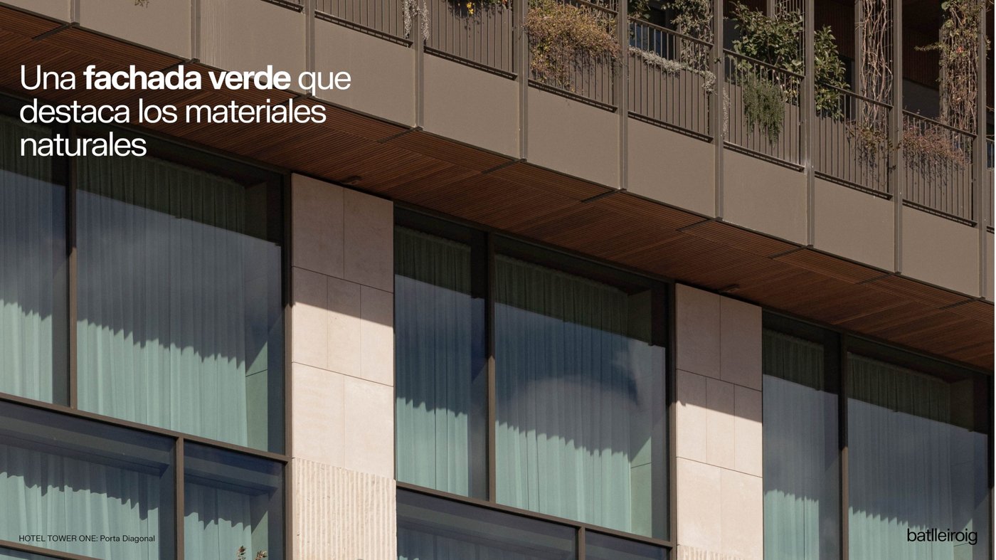 La vegetación se convierte en la capa exterior