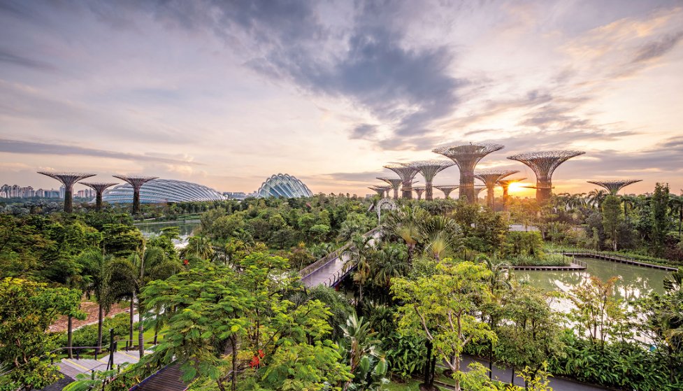 Lush urban parkland and gardens at dusk