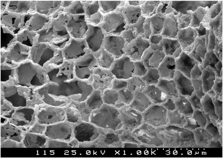 Honeycomb core microstructure