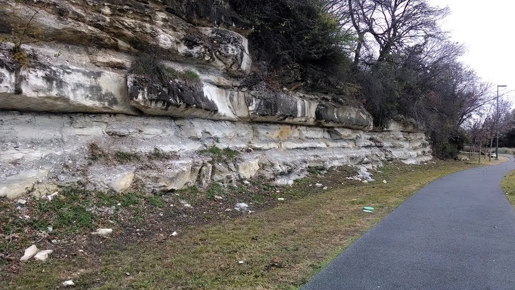 Where the name came from. The Austin Chalk Formation finishes its run here, and Bennett pointed to the limestone expressing itself through the ground.
