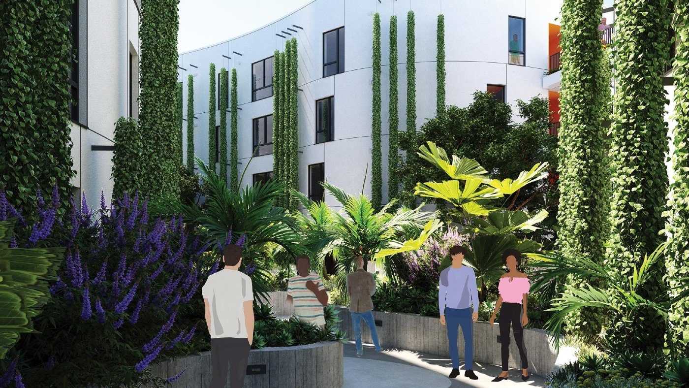 Lush planted courtyard between white housing blocks with climbing vines